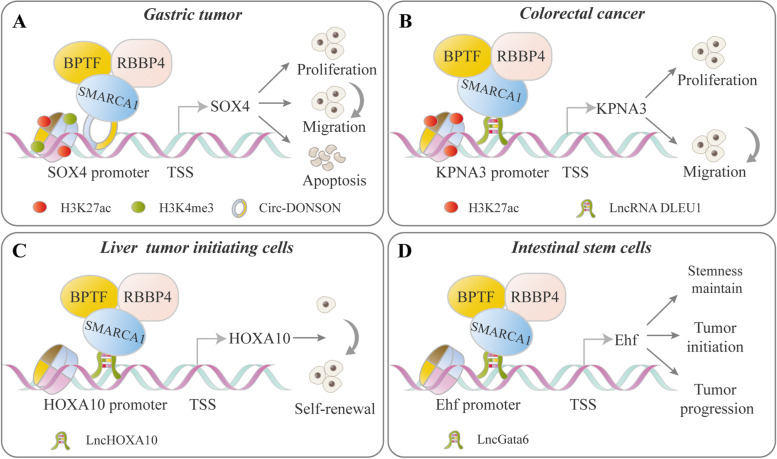 PMC8567610 – Fig6