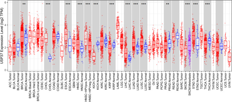 PMC8579576 – Fig6