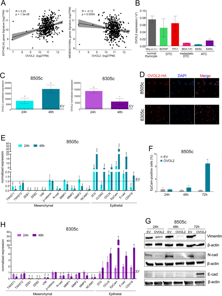 PMC8957195 – Fig1