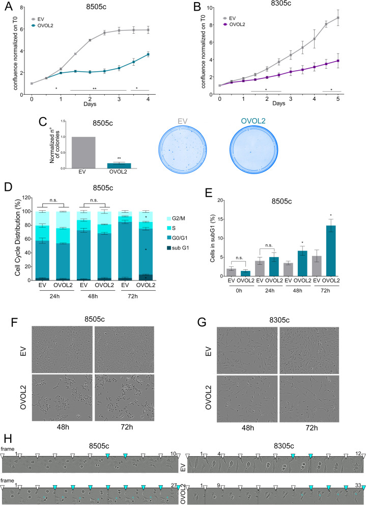PMC8957195 – Fig3