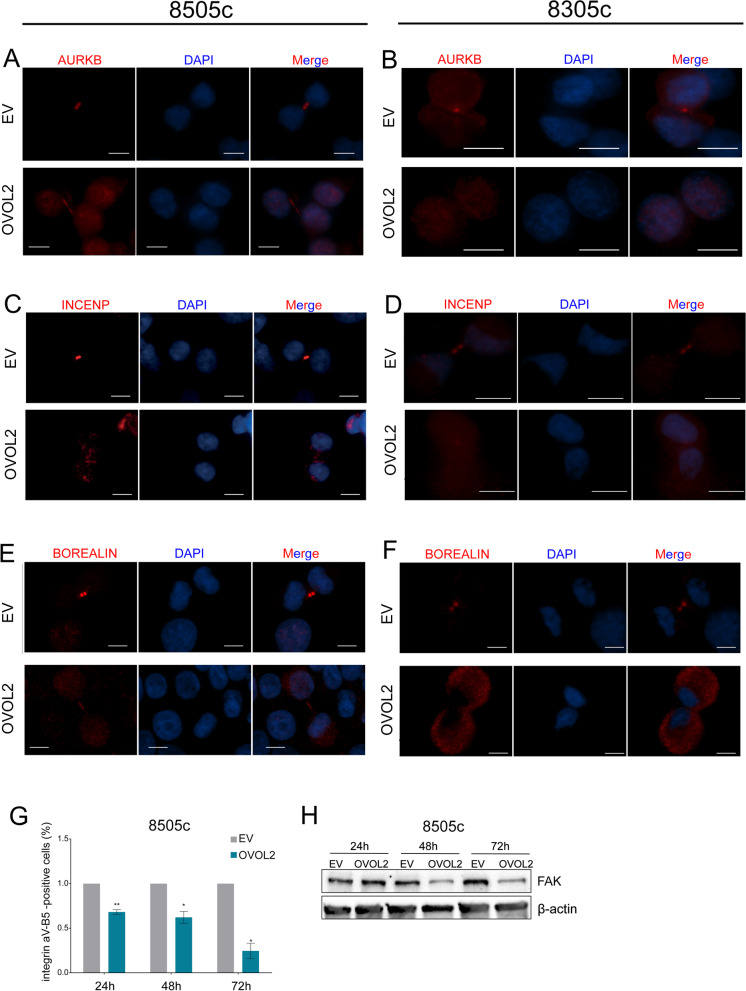 PMC8957195 – Fig4