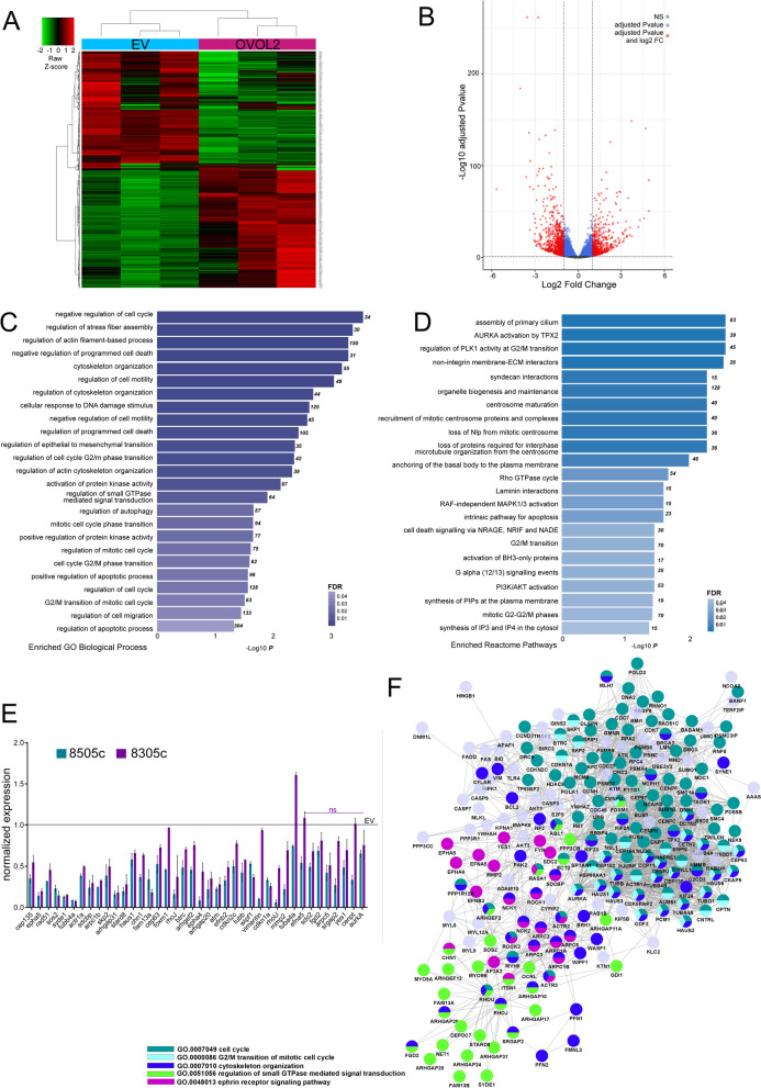 PMC8957195 – Fig5