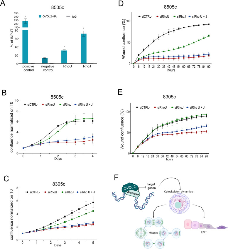 PMC8957195 – Fig6