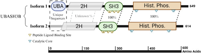 PMC12398026 – Fig1