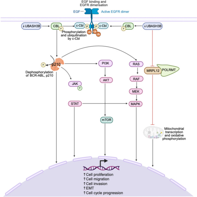 PMC12398026 – Fig3