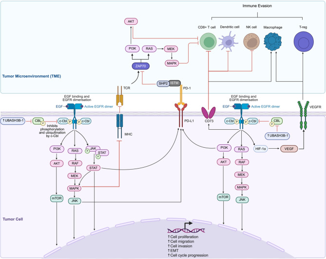 PMC12398026 – Fig5