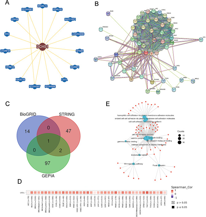 PMC11312386 – Fig10
