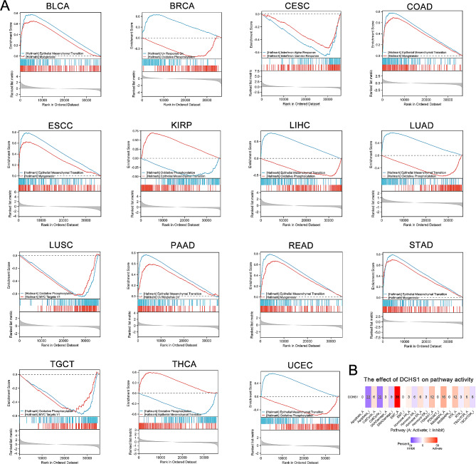 PMC11312386 – Fig11