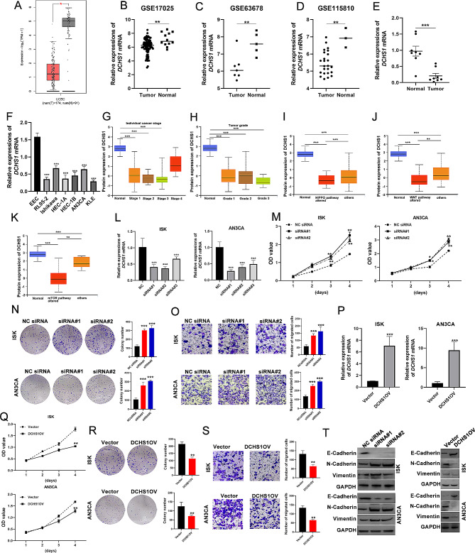 PMC11312386 – Fig12