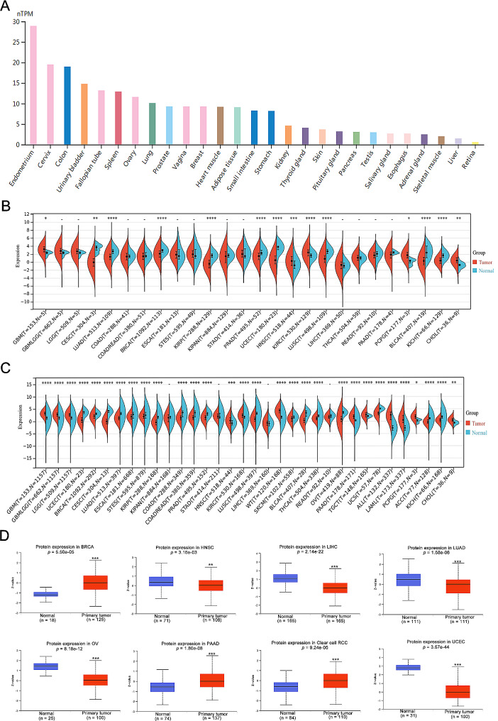 PMC11312386 – Fig1