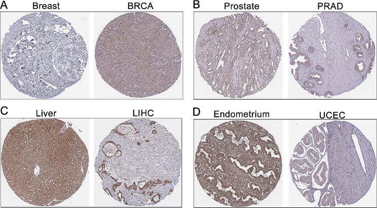 PMC11312386 – Fig2