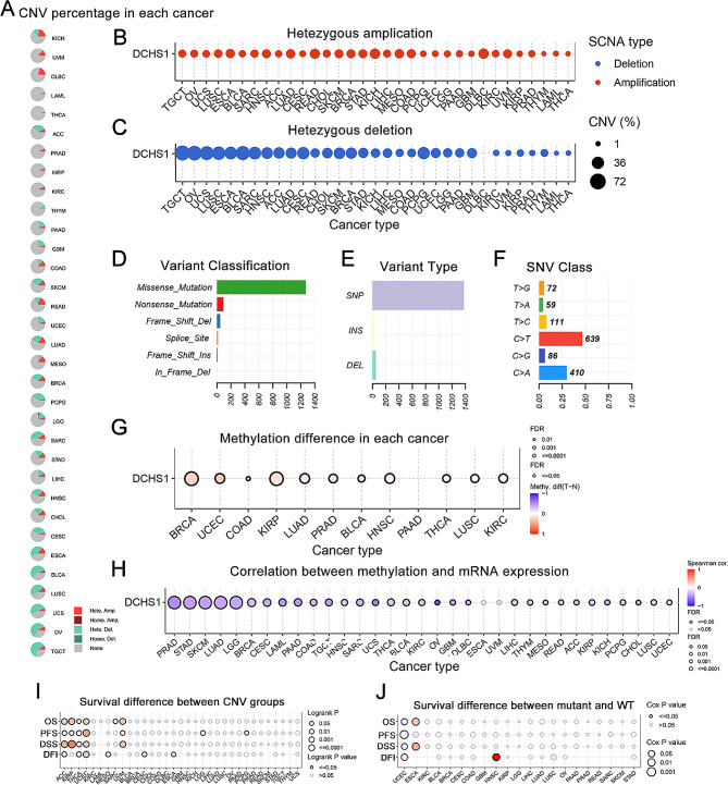 PMC11312386 – Fig5
