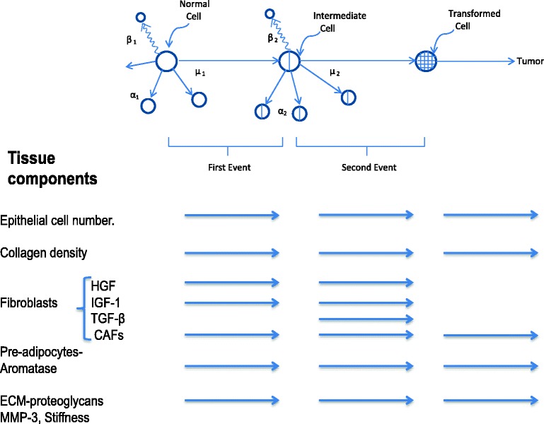 PMC5842598 – Fig3
