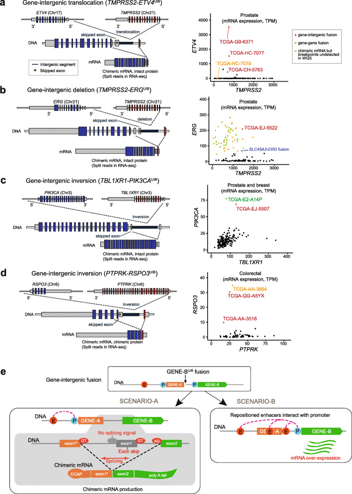 PMC7339451 – Fig2