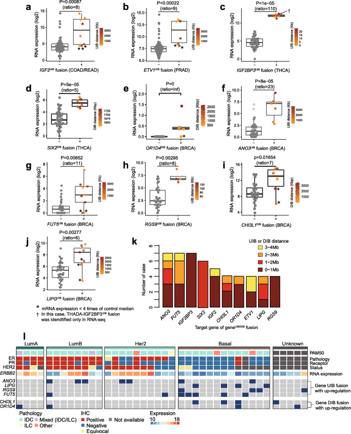PMC7339451 – Fig3