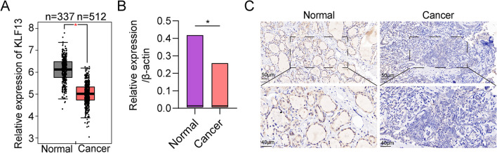 PMC10565980 – Fig1