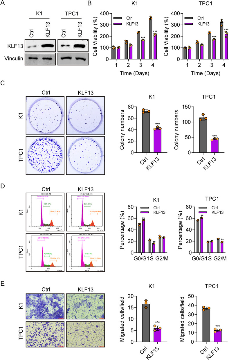 PMC10565980 – Fig3
