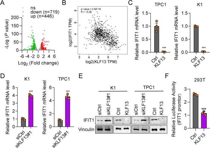 PMC10565980 – Fig5