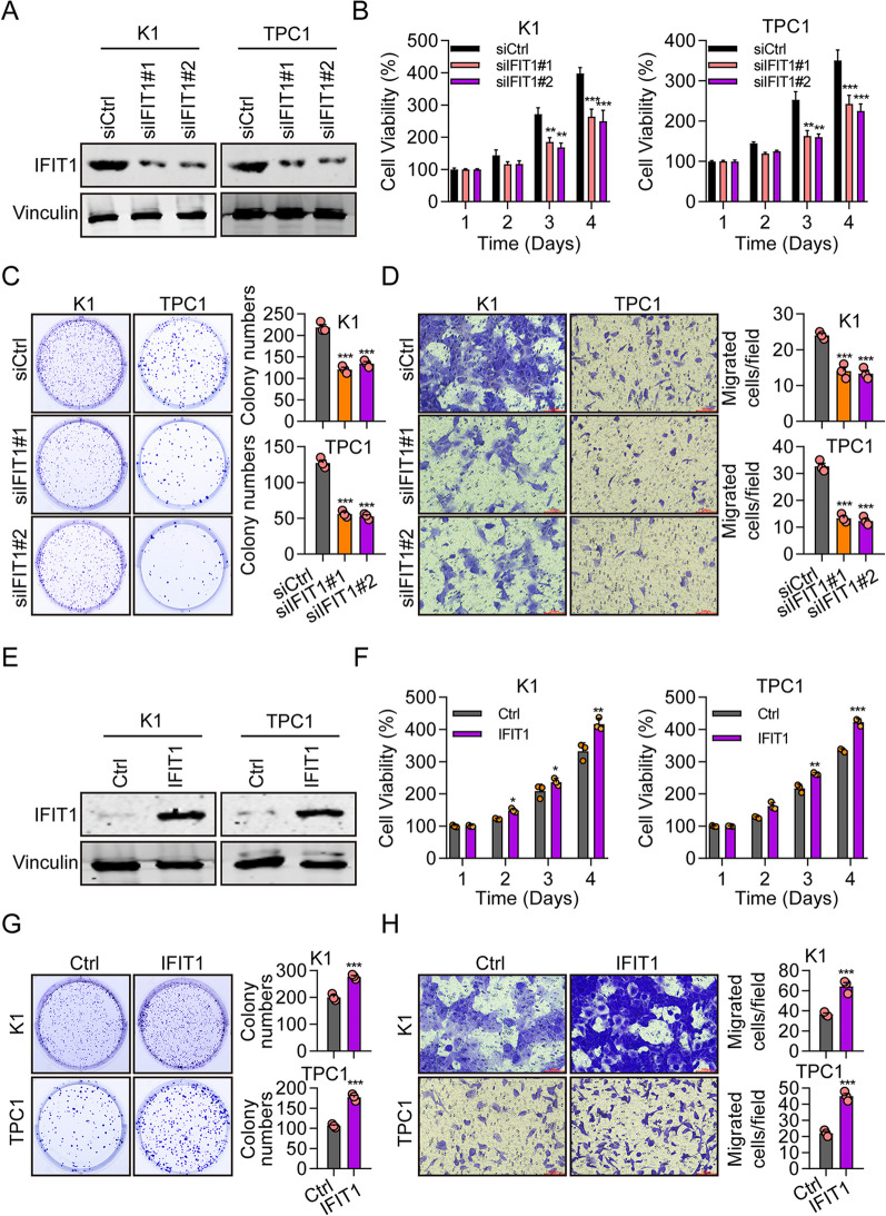 PMC10565980 – Fig6