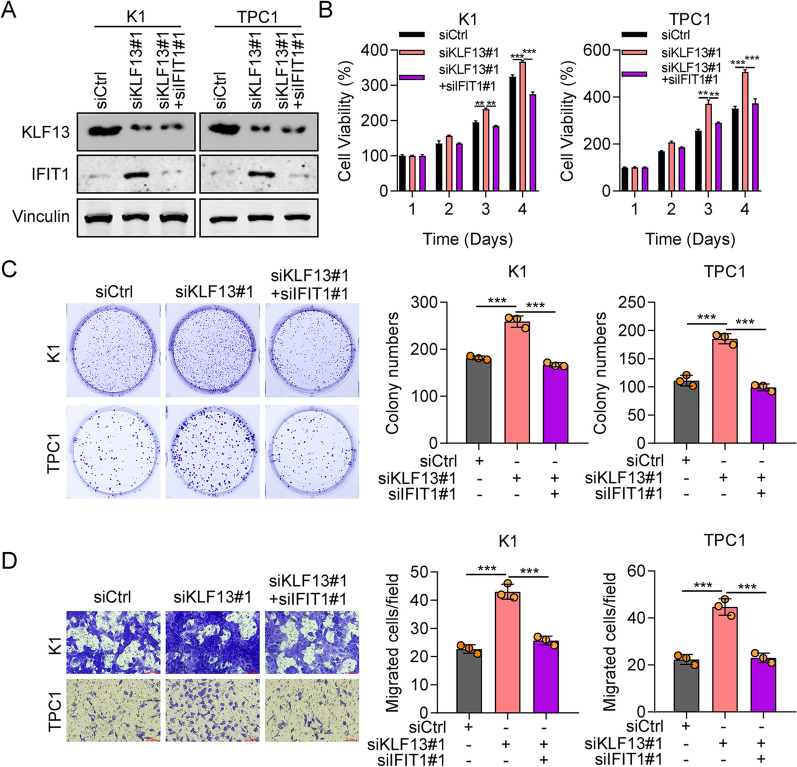 PMC10565980 – Fig7