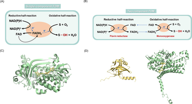 PMC10958861 – Fig1
