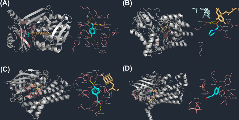 PMC10958861 – Fig2