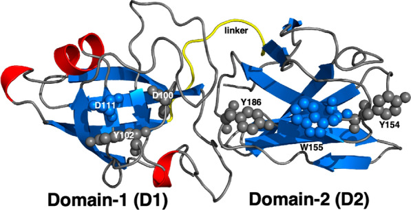 PMC11040781 – Fig6