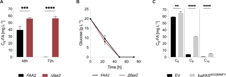 PMC11616333 – Fig3