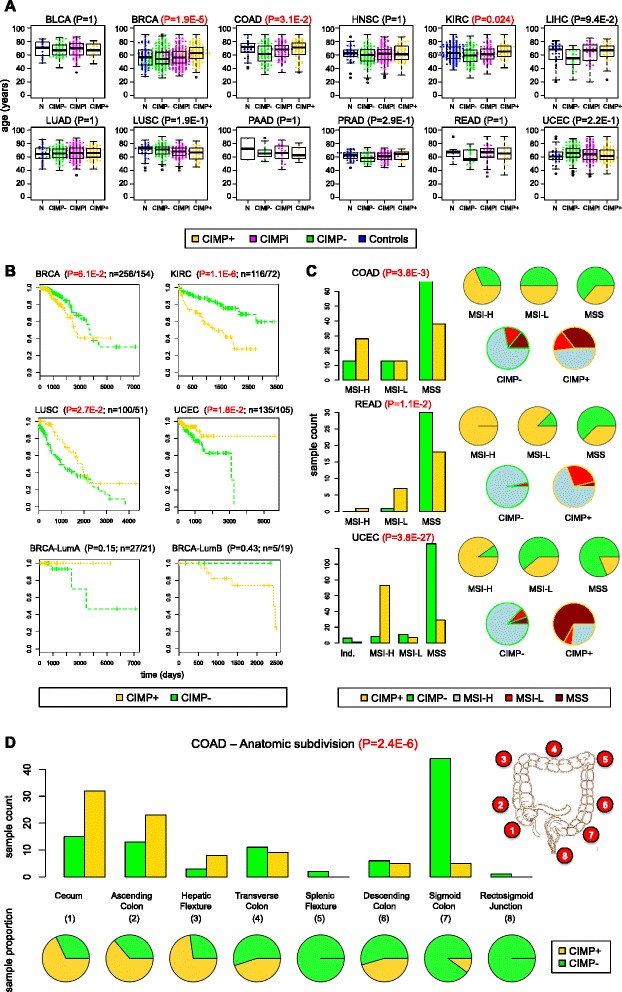 PMC4424513 – Fig8