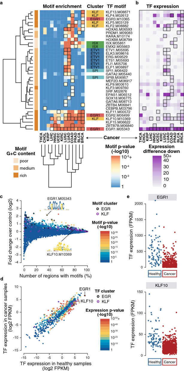 PMC8944071 – Fig3