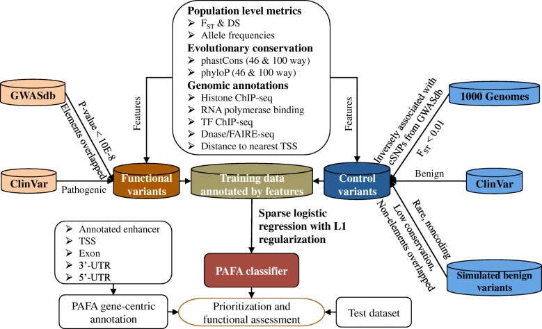 PMC6042373 – Fig1