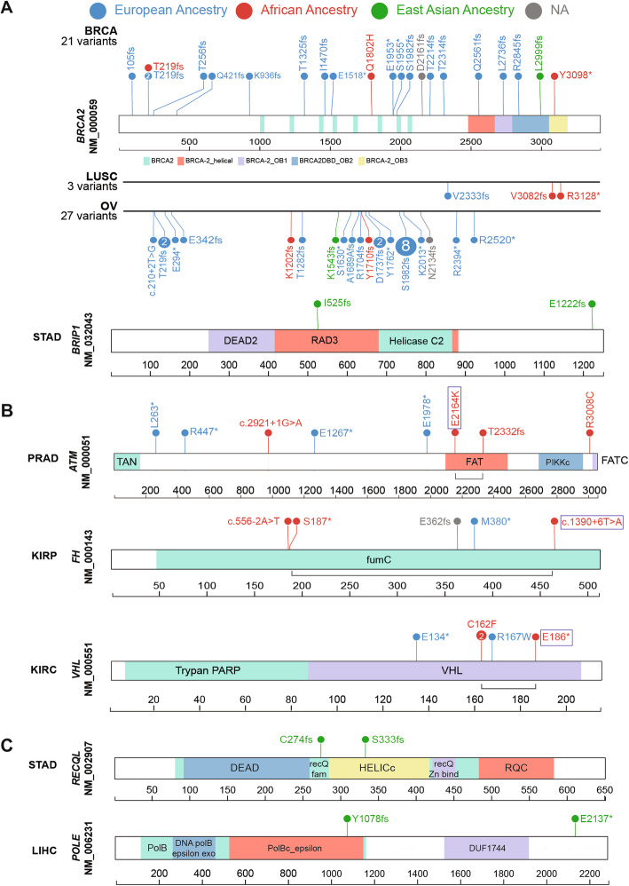 PMC7260738 – Fig2