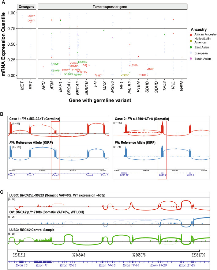 PMC7260738 – Fig4
