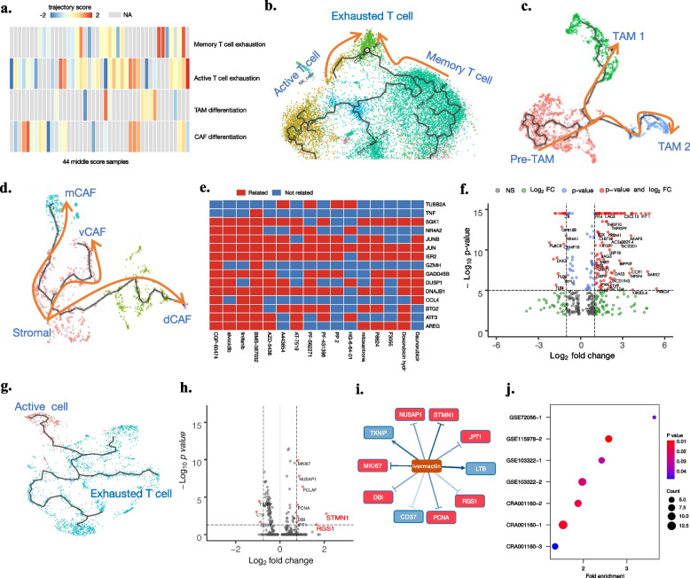 PMC10691165 – Fig4