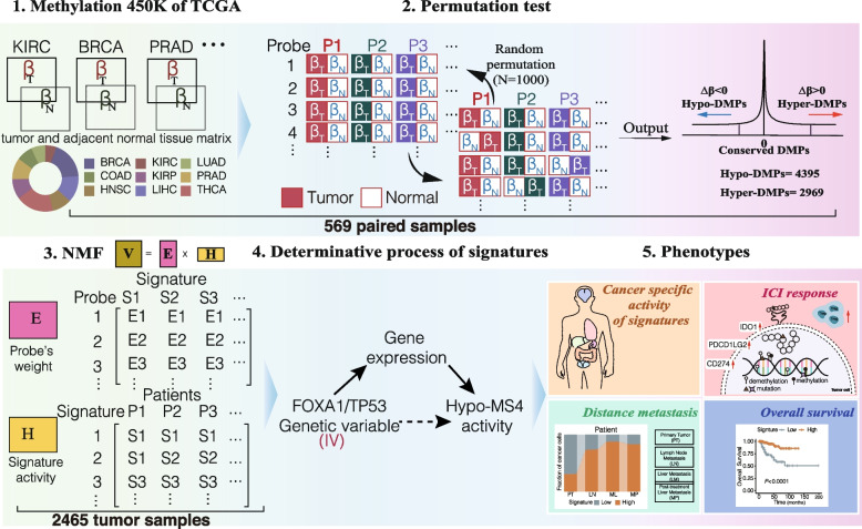 PMC10985907 – Fig1