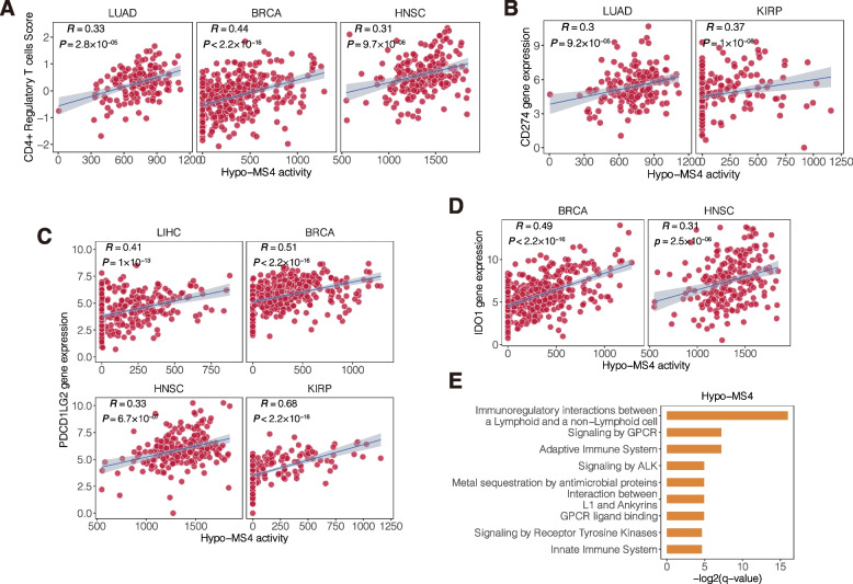 PMC10985907 – Fig4