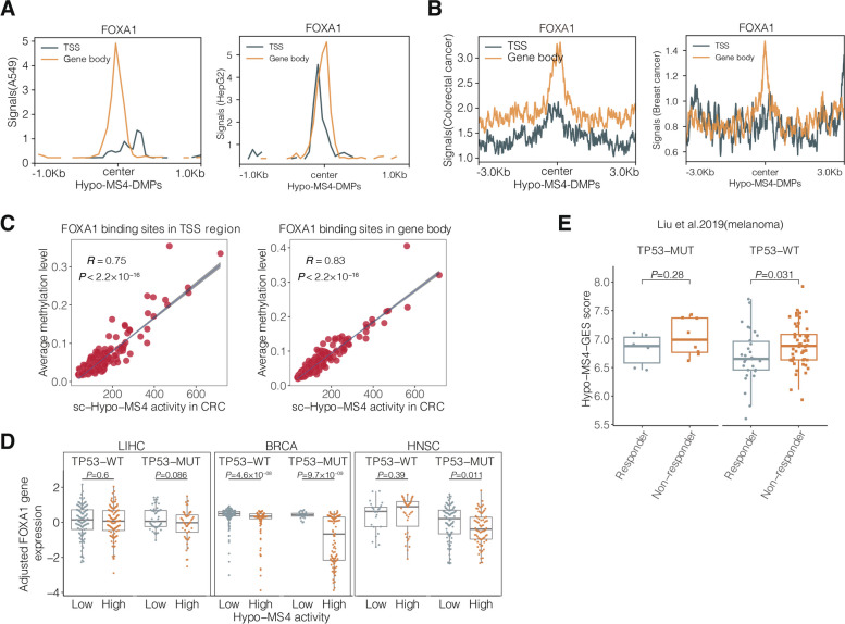PMC10985907 – Fig6
