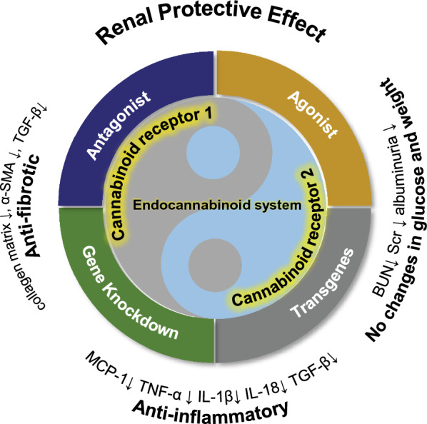 PMC10870675 – Fig13