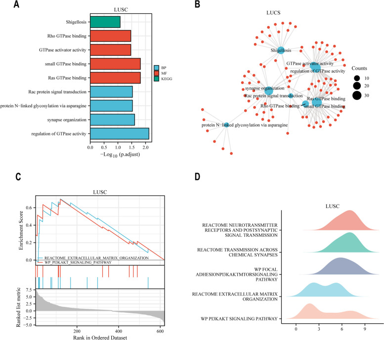 PMC10506190 – Fig4
