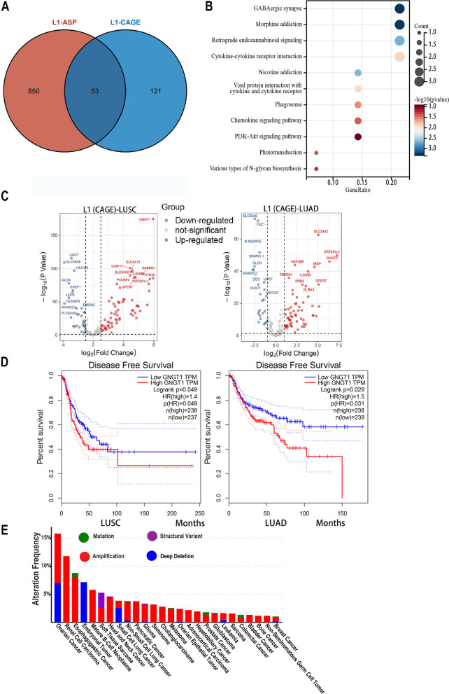 PMC10506190 – Fig9