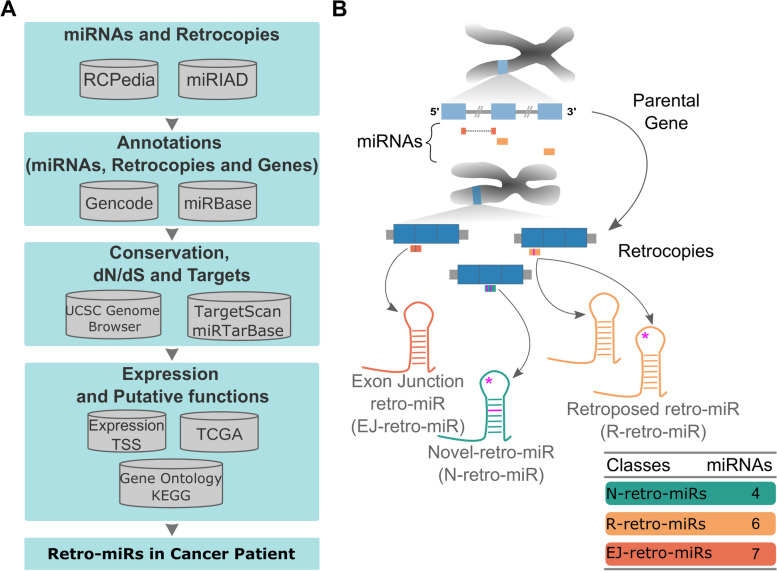 PMC10486083 – Fig1
