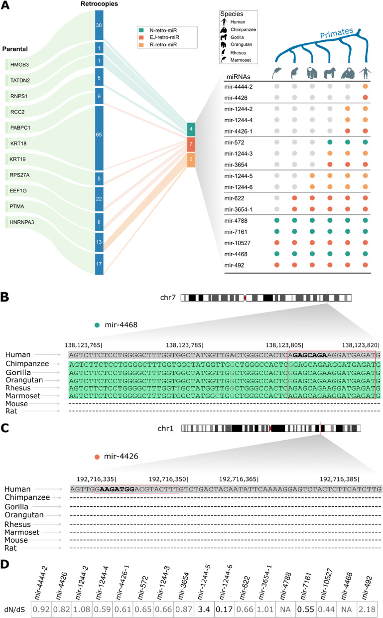 PMC10486083 – Fig2