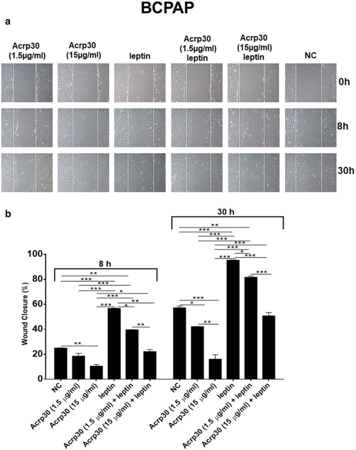 PMC8121733 – Fig6