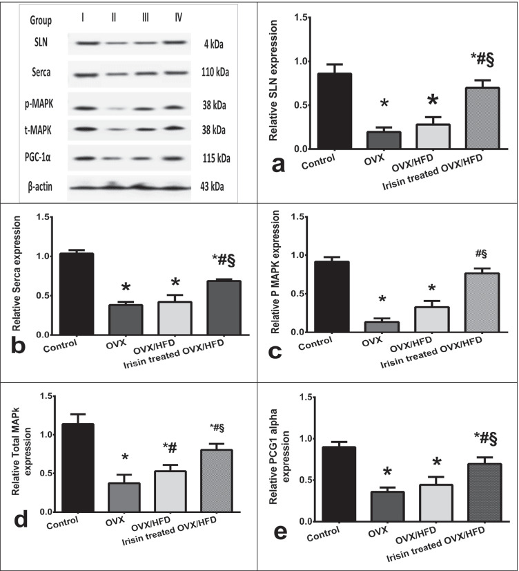 PMC9684260 – Fig8