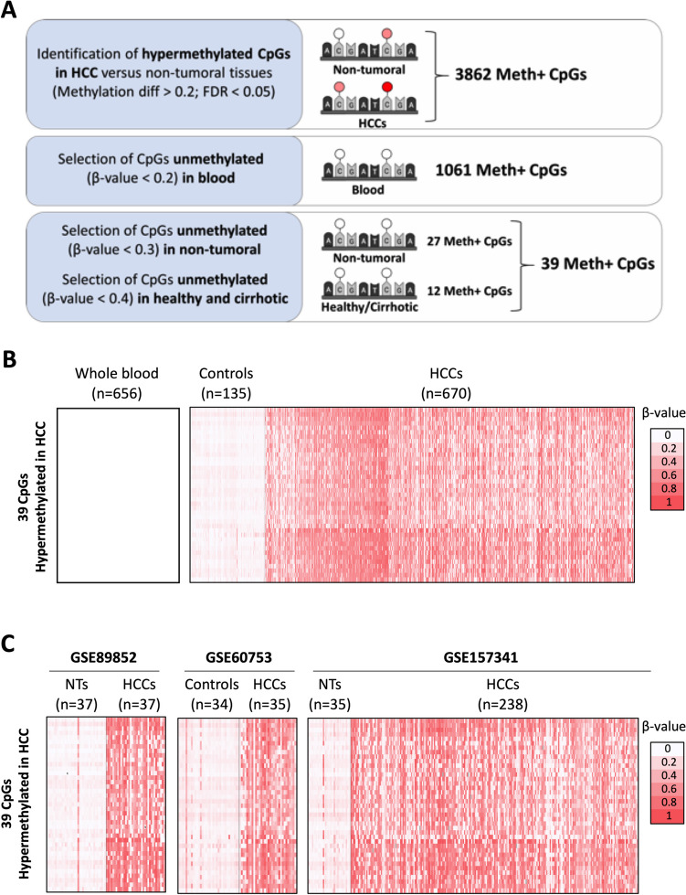 PMC11682006 – Fig1