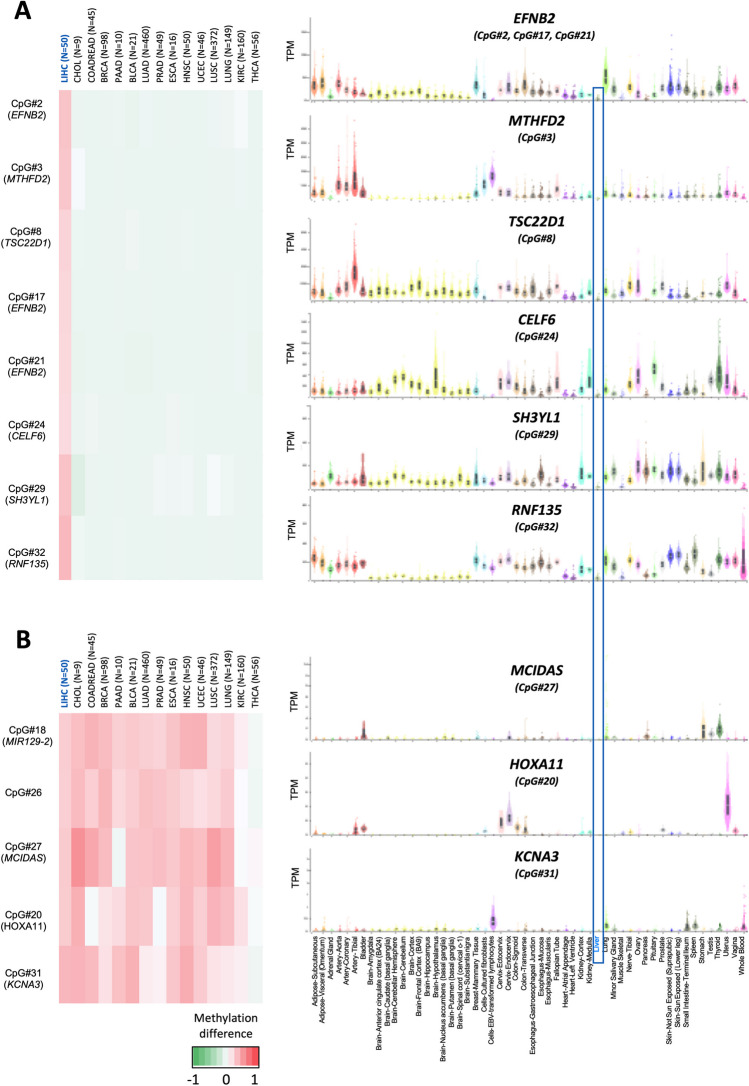 PMC11682006 – Fig5