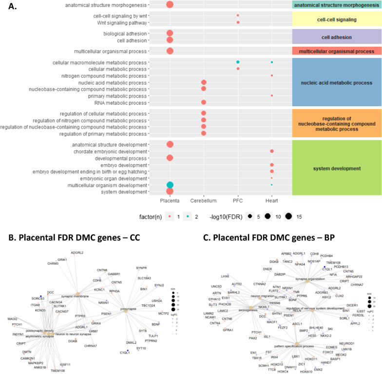 PMC10324248 – Fig3
