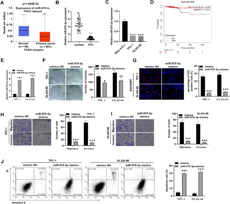 PMC11184720 – Fig1