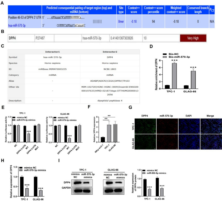 PMC11184720 – Fig2