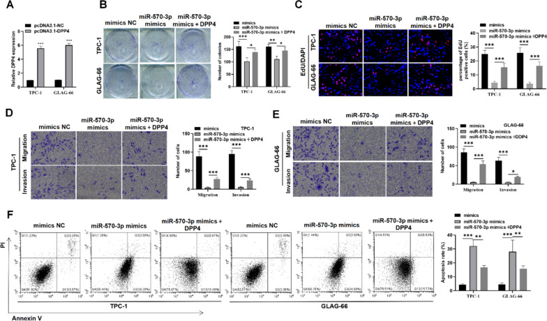 PMC11184720 – Fig3